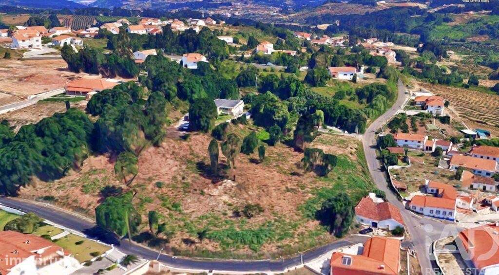 Terreno para construção em Salir de Matos de 6587,00 m2 - Grande imagem: 4/14