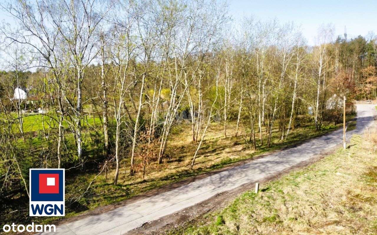 Piękna działka / Pogoria IV / Ratanice - Pełny obrazek: 4/8