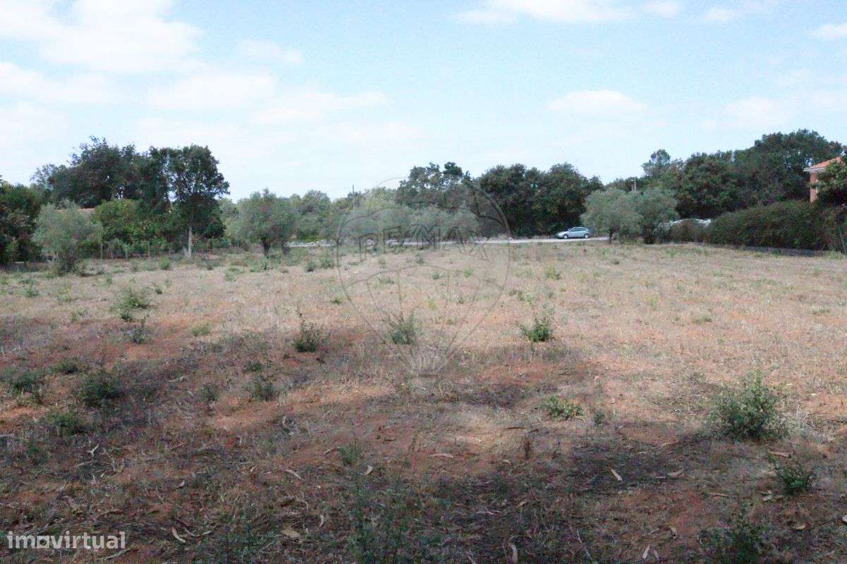 Terreno  para venda - Grande imagem: 3/3