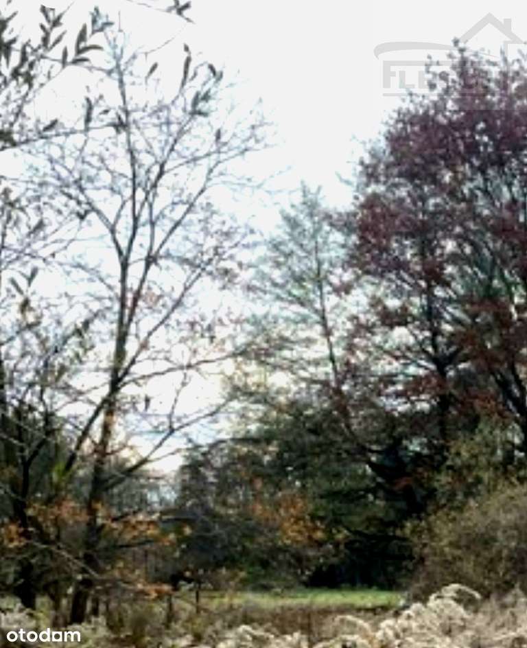 Atrakcyjna działka budowlana w Owczarni przy WKD-3