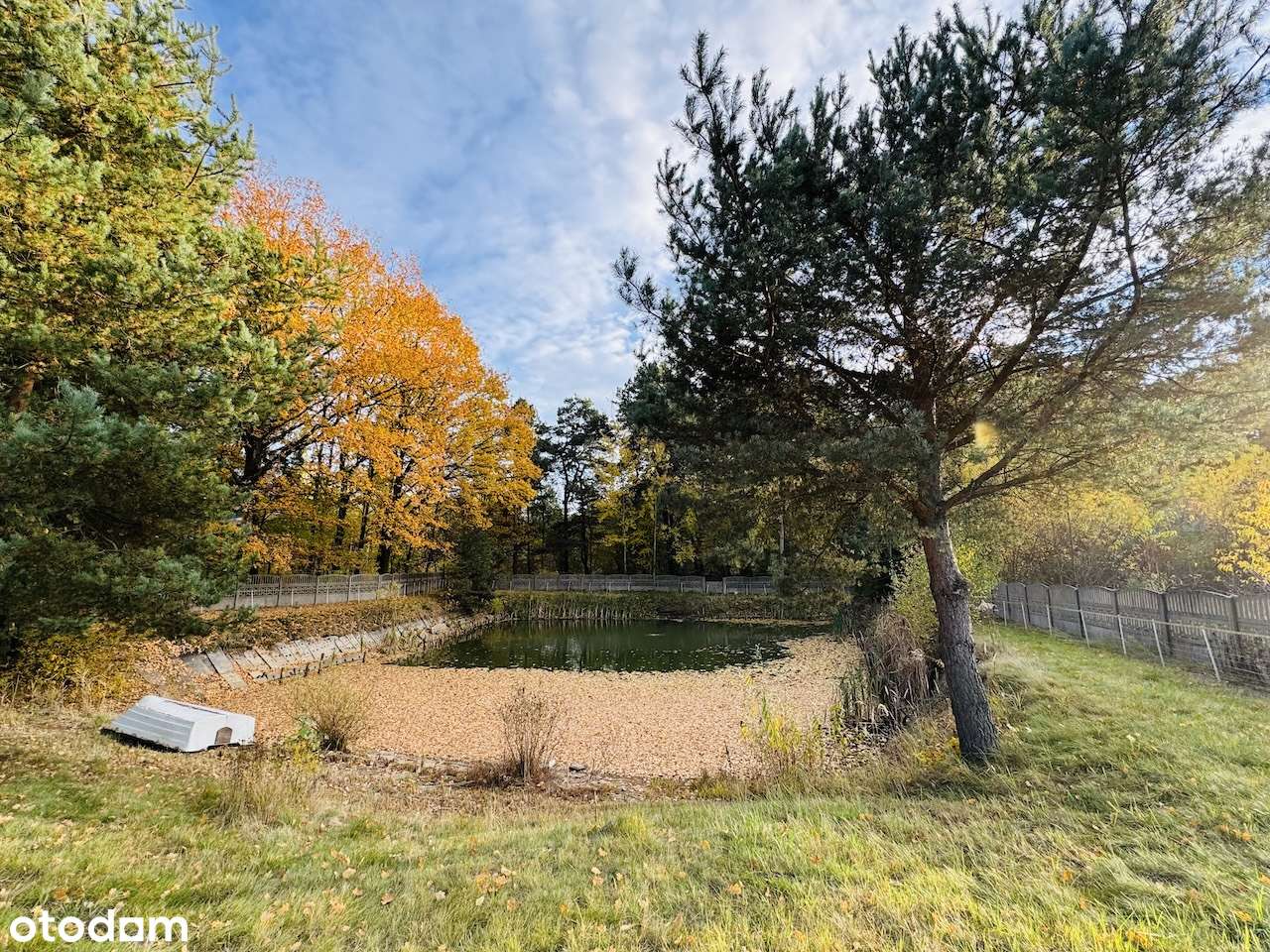 Duży dom z ładną działką ze stawem przy lesie-potencjał aranżacji-6