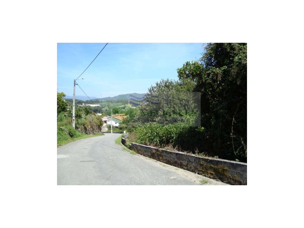 TERRENO COM VIABILIDADE DE CONSTRUÇÃO | APROXIMADAMENTE 5.000 m² - Grande imagem: 4/7