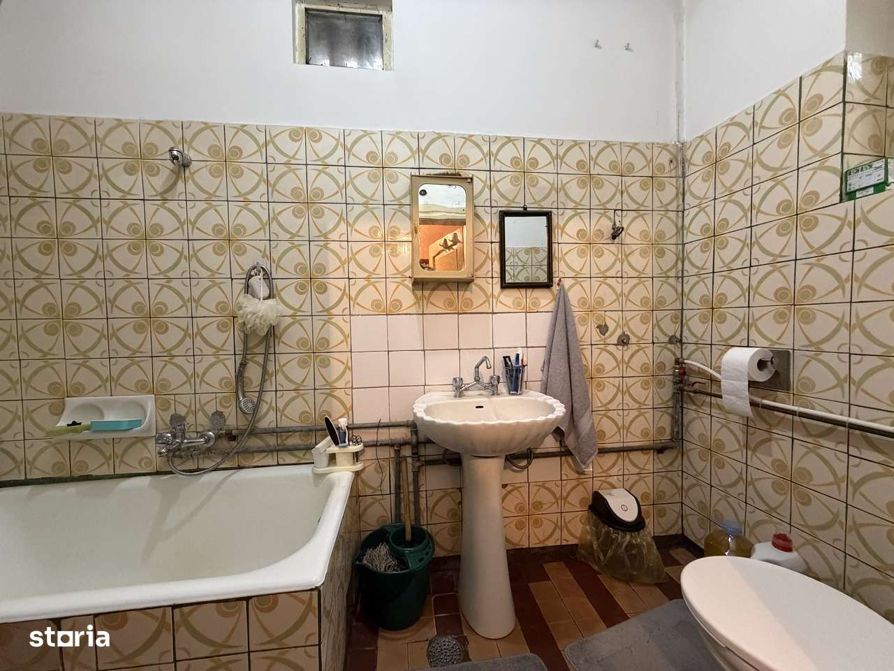 Comision 0% Casa singur in curte, teren 1075 mp, Turnisor-6