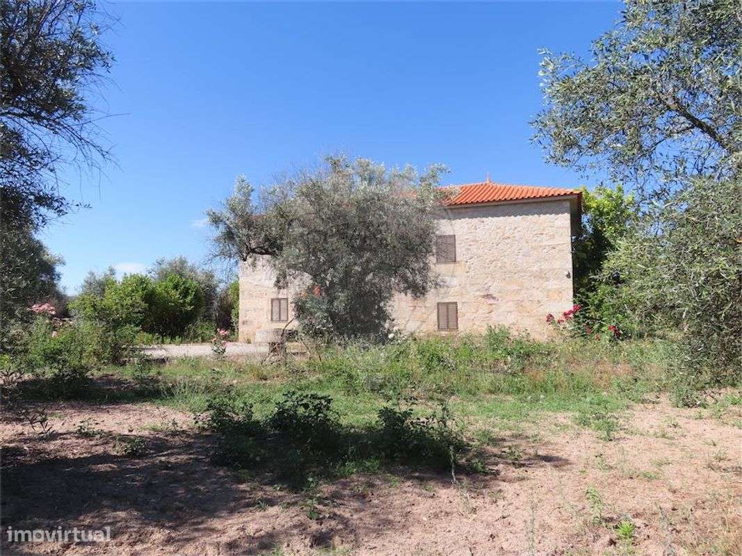 Quinta T5 para venda - Grande imagem: 5/49