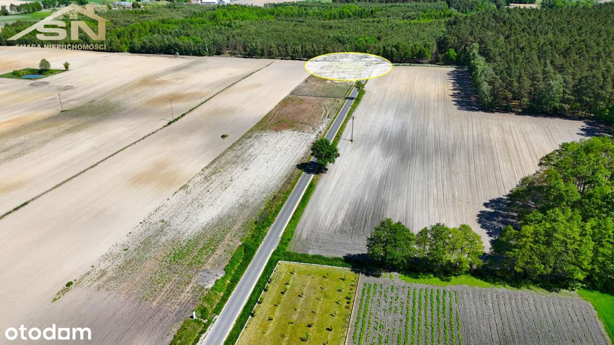 Działka budowlana granicząca z lasem - Pełny obrazek: 5/7