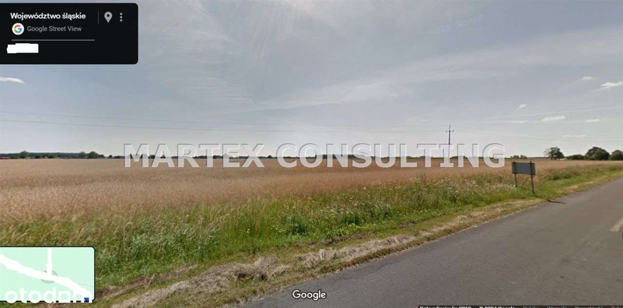 Działka, 19 729 m², Wielowieś - Pełny obrazek: 4/4