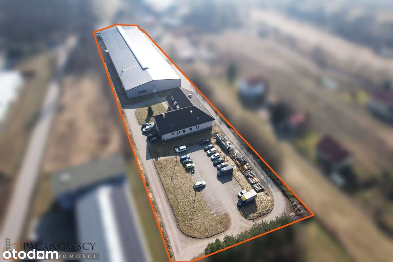 Hala na sprzedaż, Zielonki