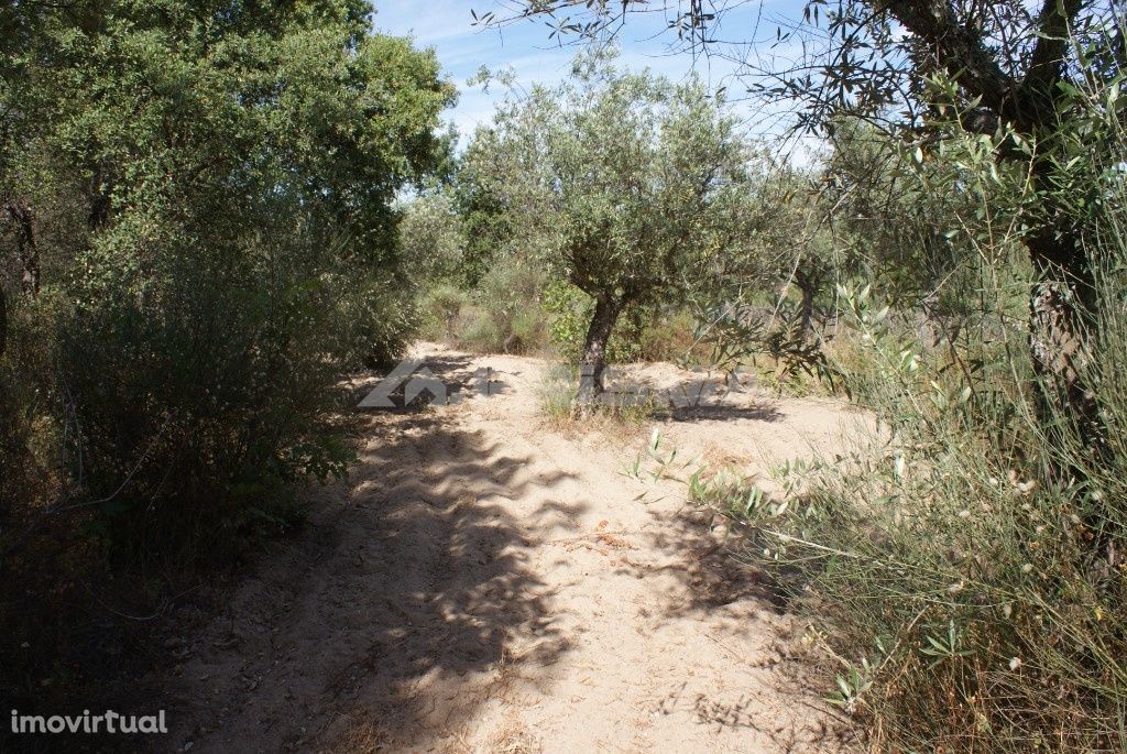 Terreno para venda