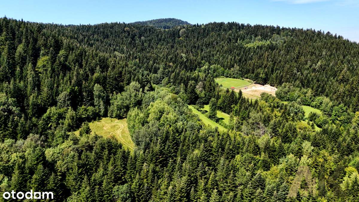 Działka rolna  Kąclowa - Pełny obrazek: 5/13