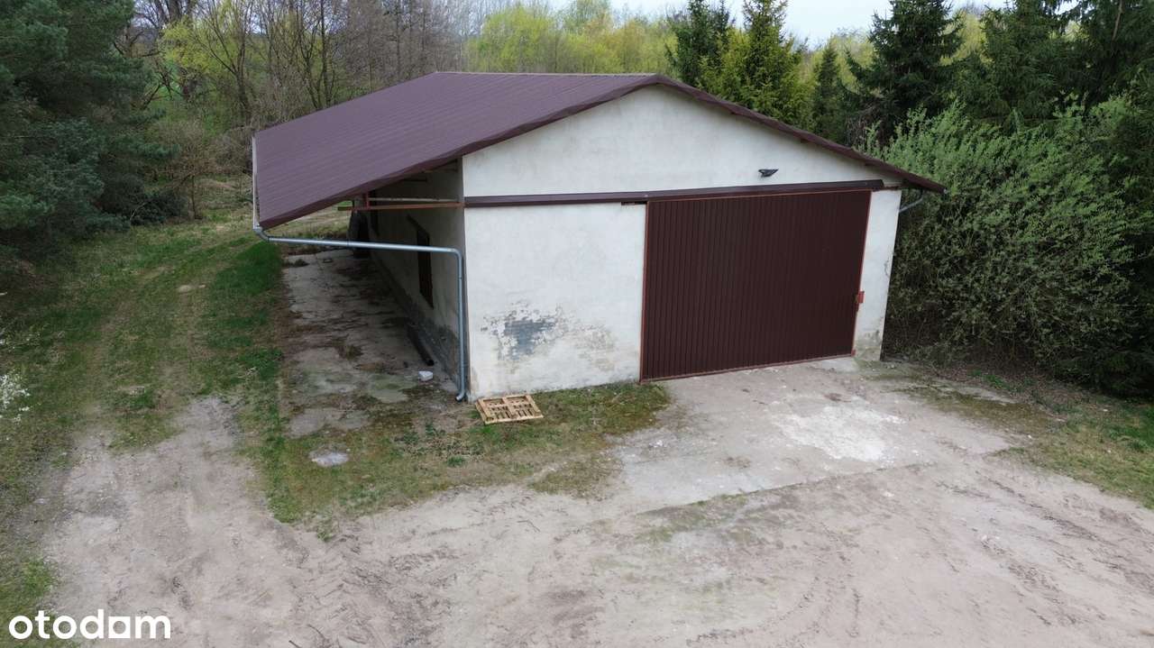 Sprzedaż nieruchomości inwestycyjnej – 3,46 ha | Grzebielin Budowlana-11