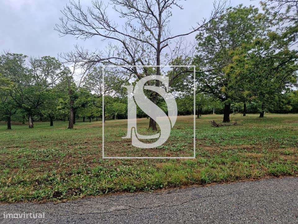 Venda de Moradia T4 independente em S. João da Corveira, Valpaços-30