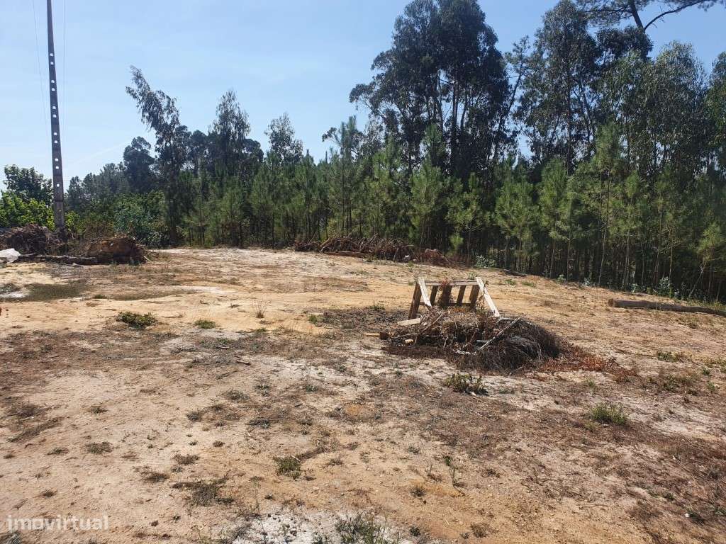 Terreno - Bidoeira de Cima-3