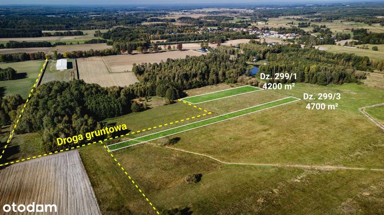 Działa rolna (łąka) 4200 m², Żebrak, gm. Skórzec-4