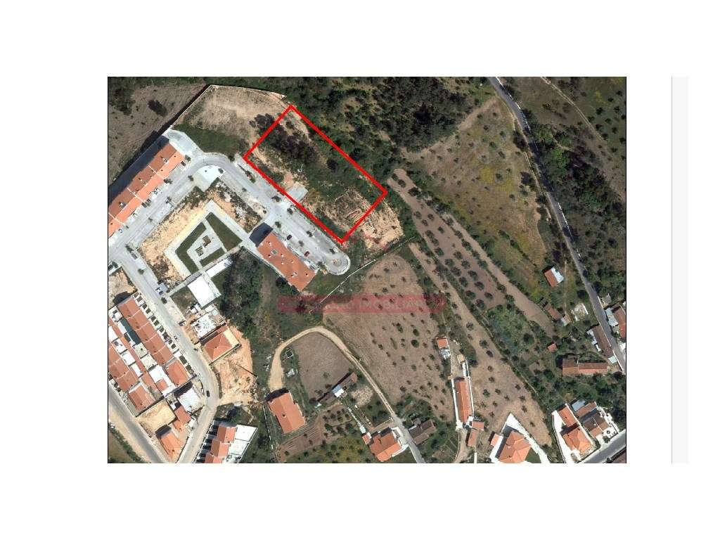 Lote Urbano p/ Construção Habitacional - Abrantes - Grande imagem: 4/23
