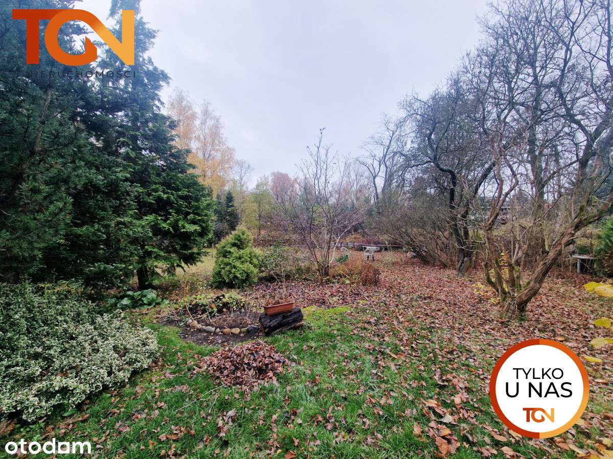 Działka inwestycyjna na Rogach - Pełny obrazek: 1/4