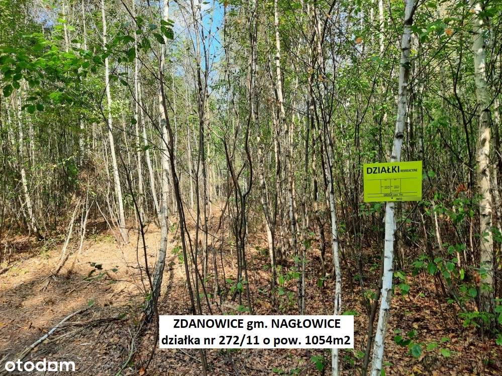 Tania działka rekreacyjna 1054m2 (plan) cena 54.900zł (f-ra 23% VAT)-0