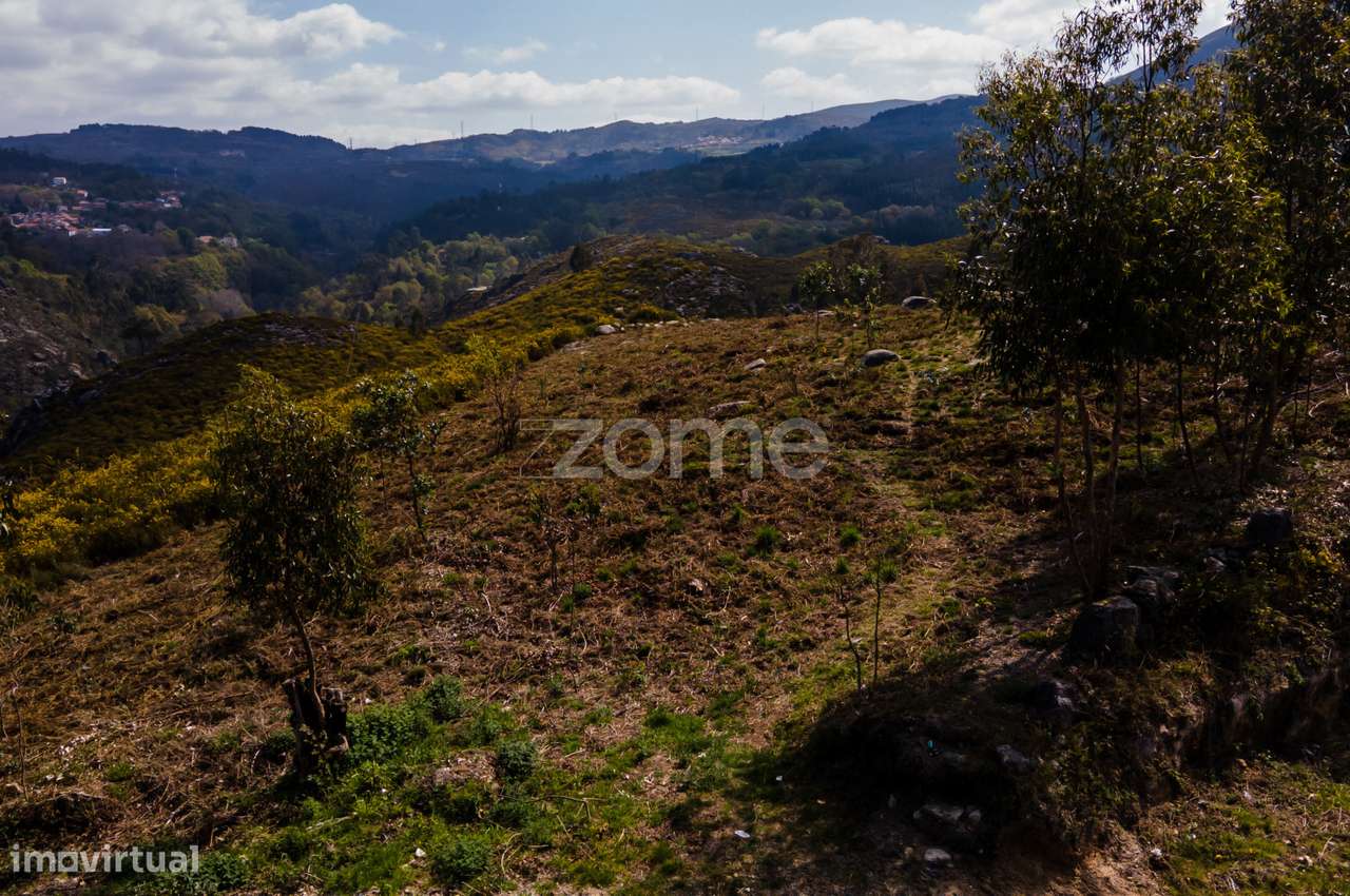 Terreno Versátil de 12.000m² em Ruivães, Vieira do Minho - Grande imagem: 4/20