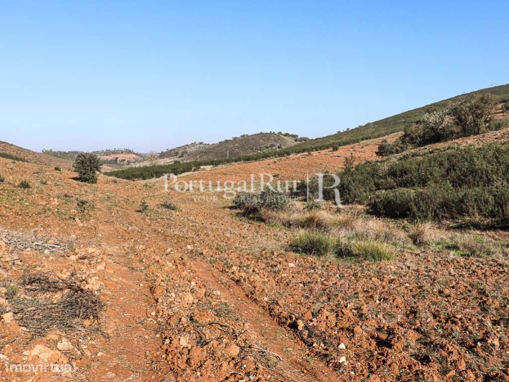Propriedade de 8 hectares em Terena - Alandroal - Grande imagem: 4/9
