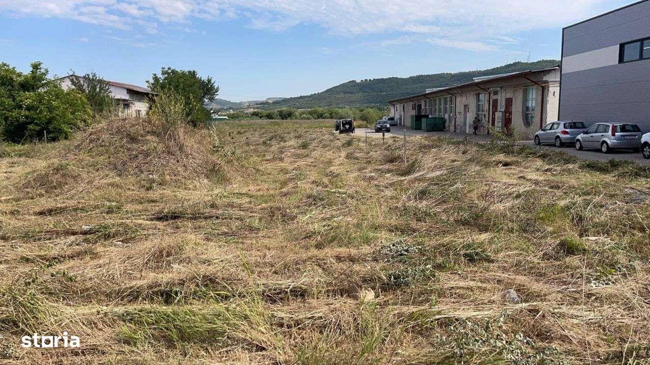 Teren intravilan de vanzare - 10.000 mp - Str. Stefan cel Mare - Sibiu-3