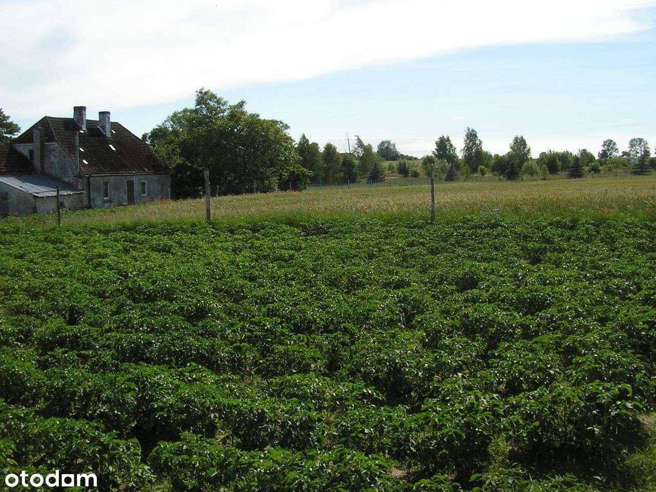 Małe działki budowlane w centrum wyspy, na górce - Pełny obrazek: 5/13