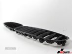 Grelhas Frente Novo/ ABS BMW Z4 Roadster (E89) C125164 - 2