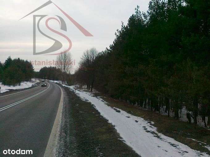 Działka leśna w Kusiętach - Pełny obrazek: 5/5