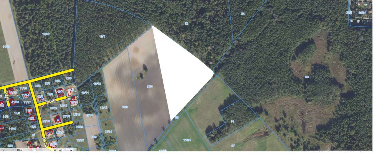 Sierosław 40zł/m2 działki przy lesie PIĘKNIE POŁOŻONE - Pełny obrazek: 5/6