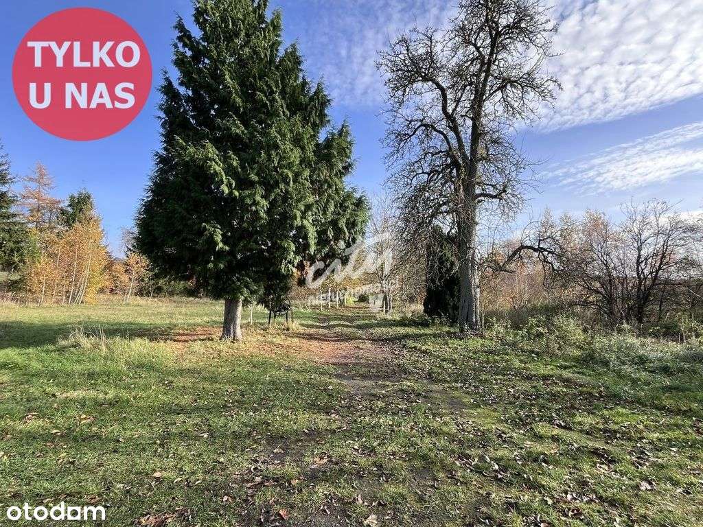 Duża działka z dostępem do jeziora pod Szczecinem!-12