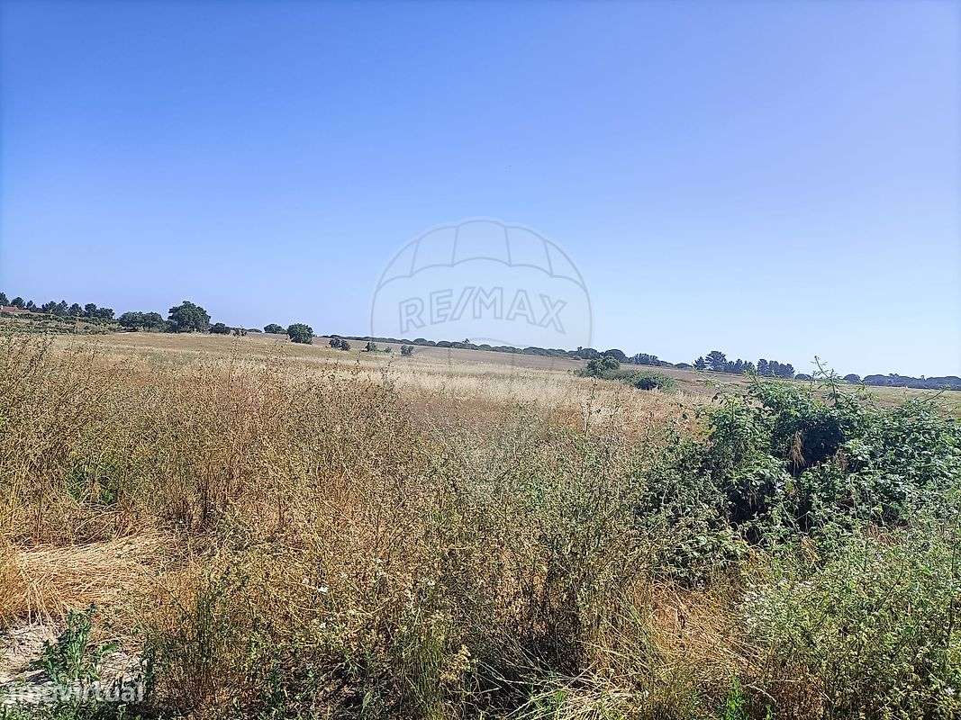 Terreno  para venda - Grande imagem: 3/5