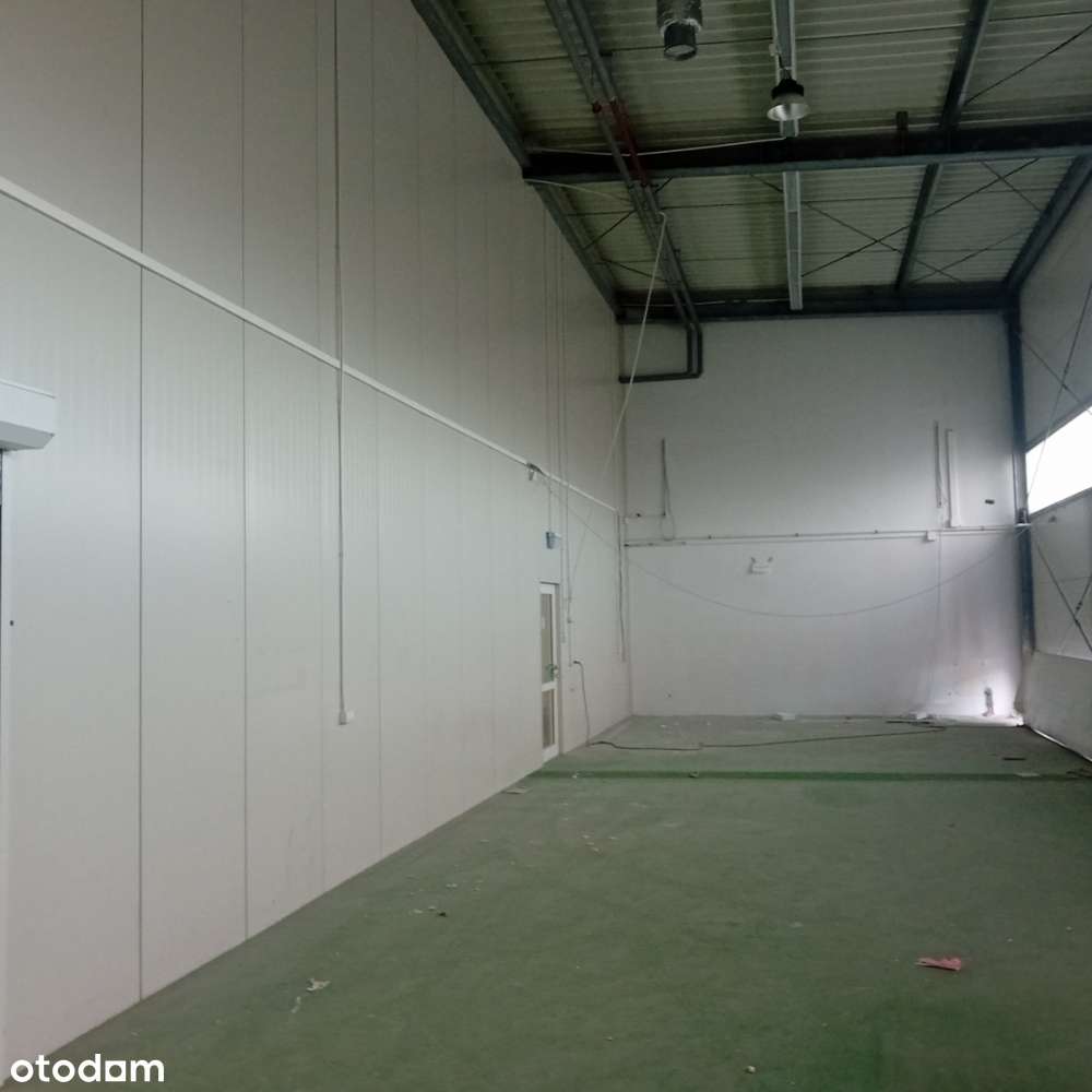 Magazyn 1200 m2 Rudna Mała - Pełny obrazek: 4/6
