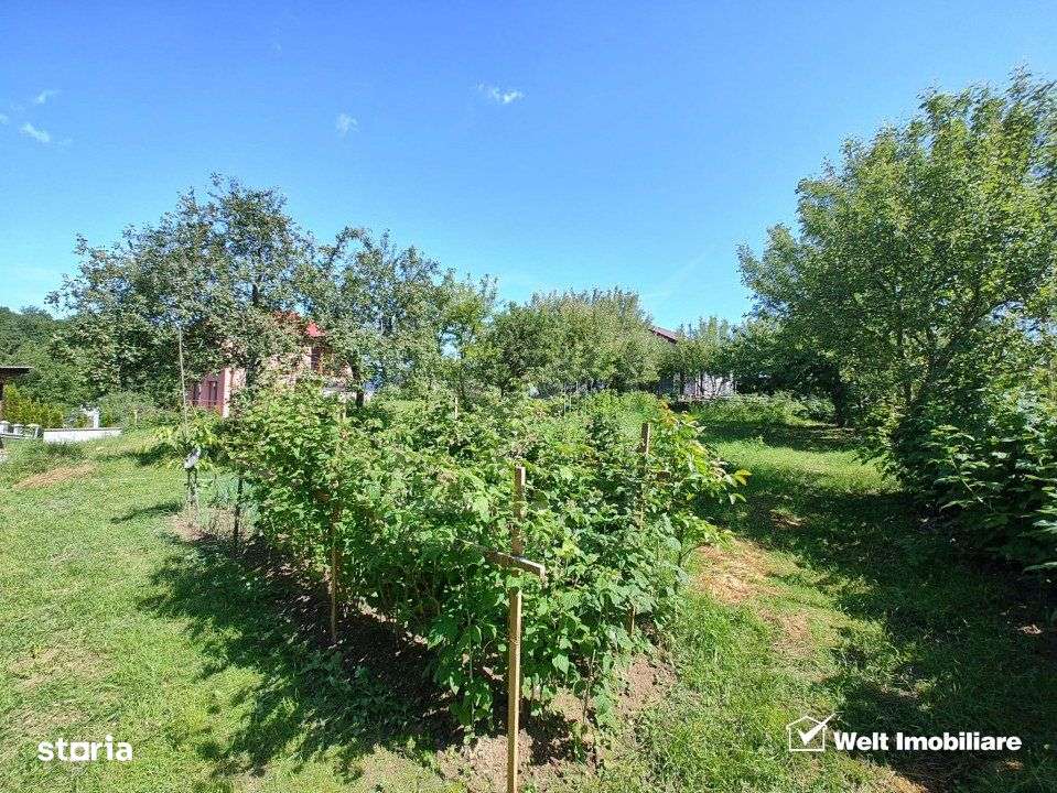 Oaza ta de liniste si verdeata, teren Faget cu parau in curte - Imagine principală: 3/6