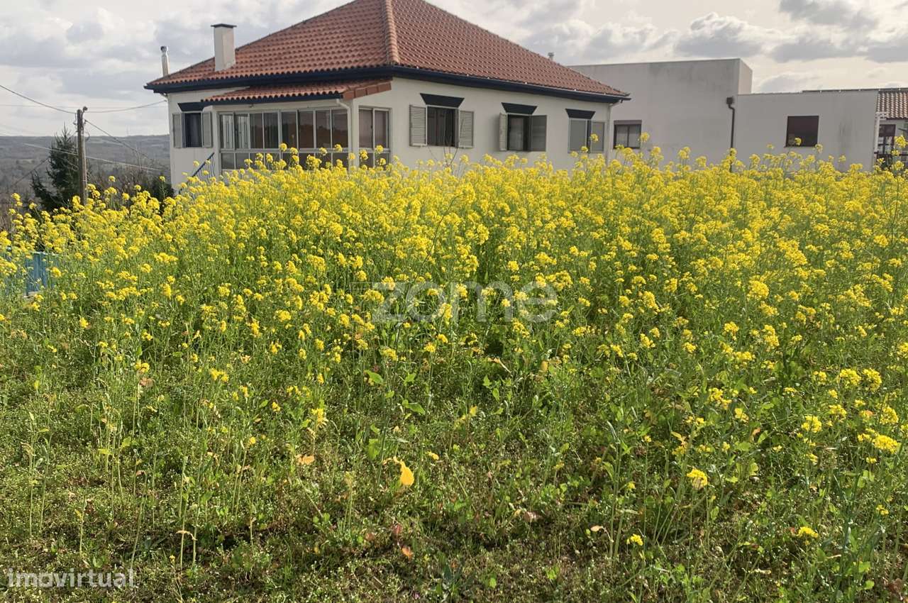 Moradia T3 com Galeria e Terreno - Grande imagem: 2/20