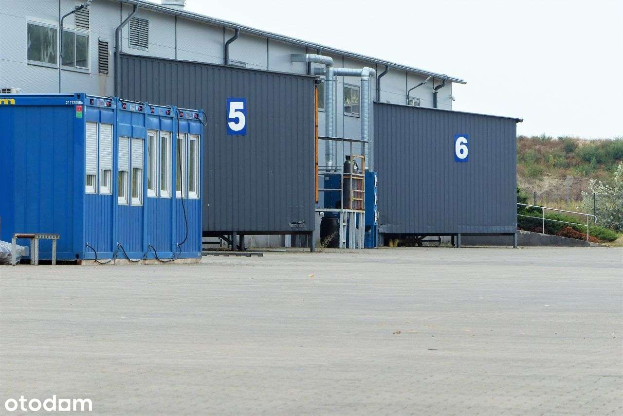 Wynajmę halę produkcyjno-magazynową – Bugaj/Poznań BEZPOŚREDNIO - Pełny obrazek: 5/12