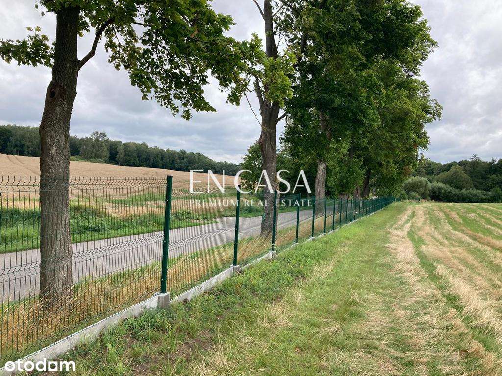 Działka budowlana nad jeziorem Morliny-13