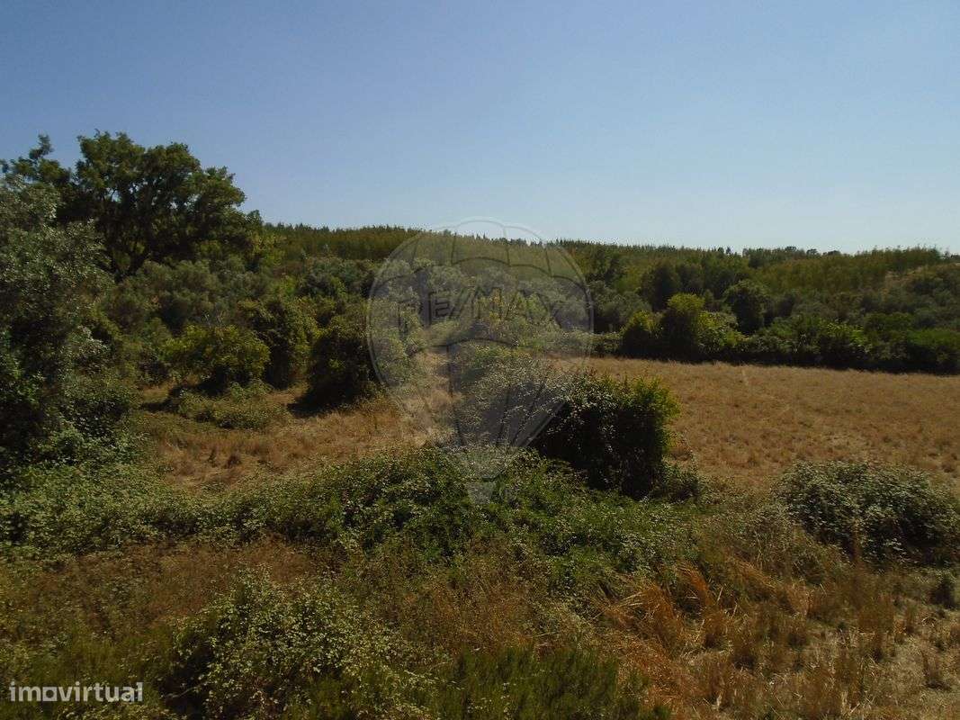 Quinta T5 para venda-15