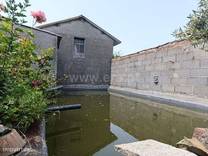 Quinta / Fundão, Alcongosta - Grande imagem: 3/13