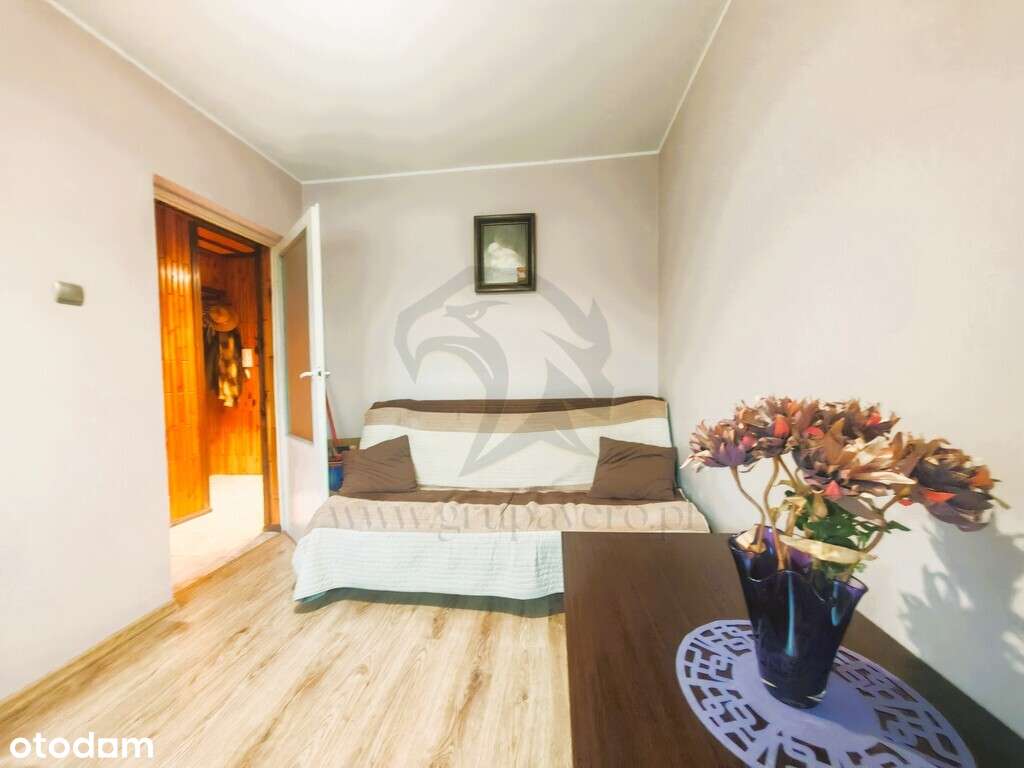 Storczykowe Love z widokiem na park - Pełny obrazek: 5/20