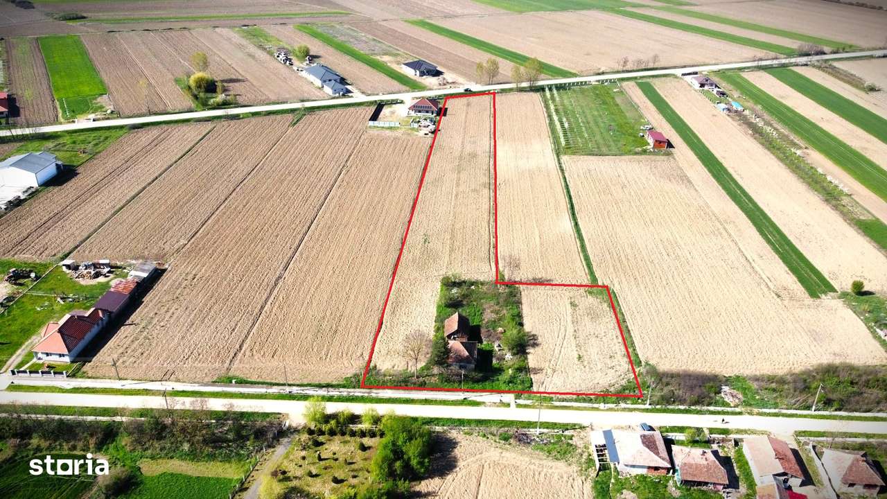 Teren Intravilan-7668mp-Ideal pentru parcelare - Imagine principală: 1/9