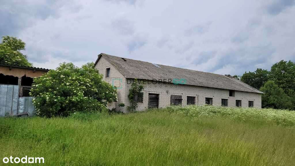 Siedlisko z Potencjałem Gospodarczym w Danowie - Pełny obrazek: 2/9