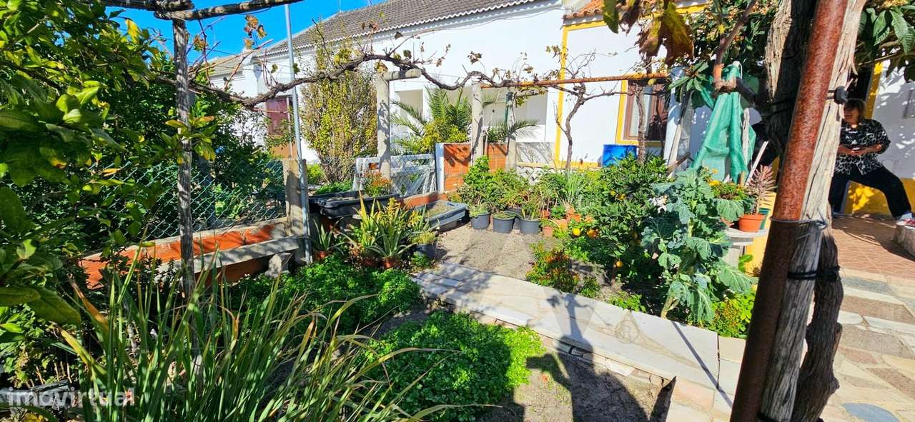 Moradia T3 na Muda - Comporta, com Ampla Área e Potencial Total - Grande imagem: 4/39