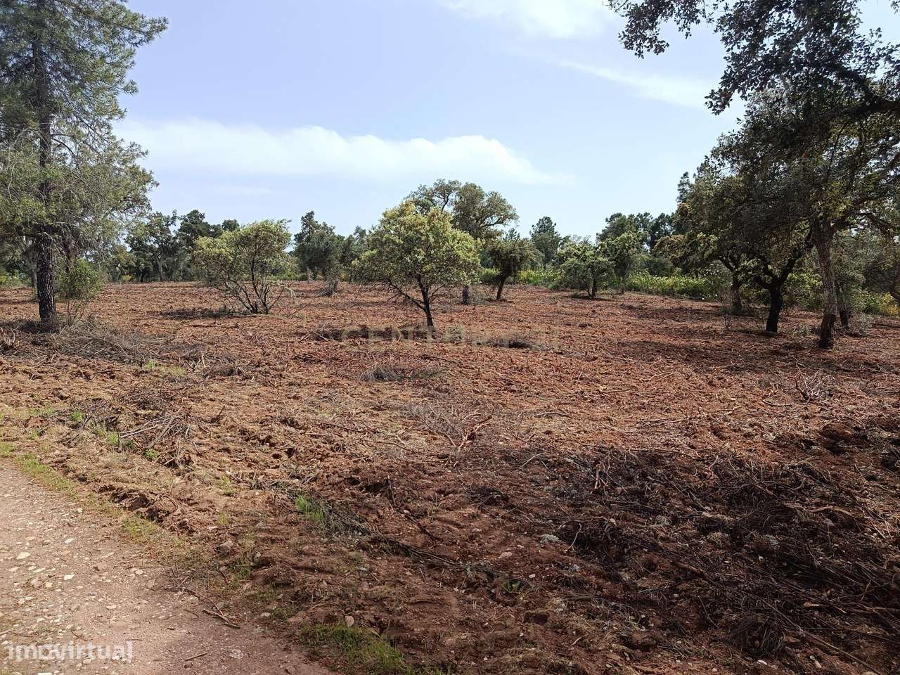 Terreno Rústico com 1.6ha Monfortinho-6