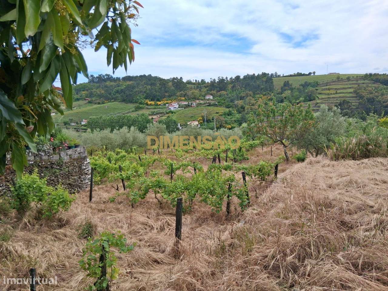 Deslumbrante Quinta V4 com Vistas Privilegiadas no Coração da Régua...-17