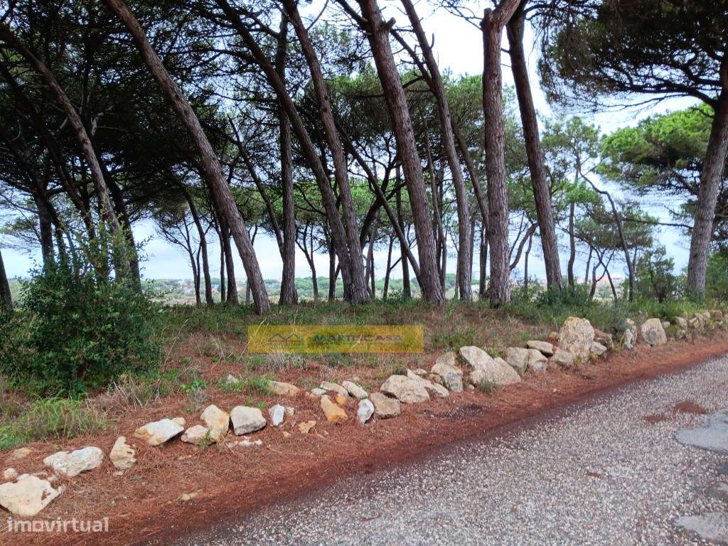 MORADIA DE LUXO V3 COM PISCINA e QUINTA- TERRUGEM-53