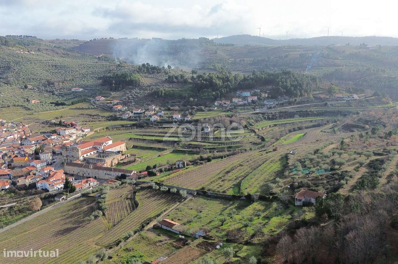 Quinta do Mosteiro de Salzedas com mais 17 ha e património histórico-6