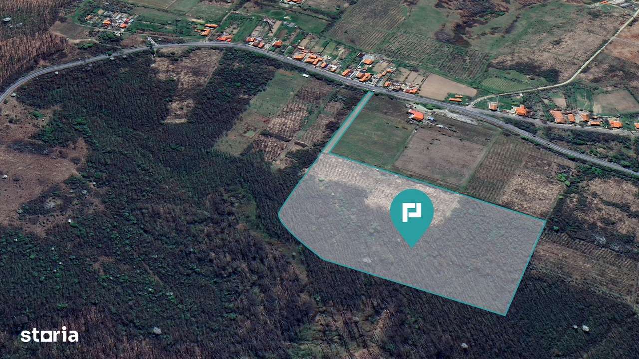 Teren de vânzare – 5,47 ha | Dealul Viilor, Lugoj - Imagine principală: 4/4