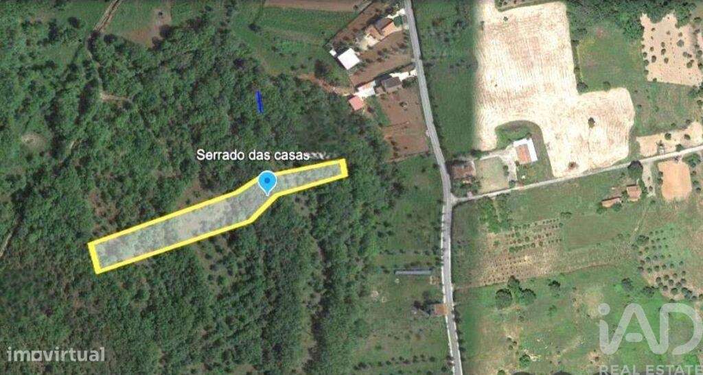 Terreno em Areias e Pias de 5960,00 m2 - Grande imagem: 1/29