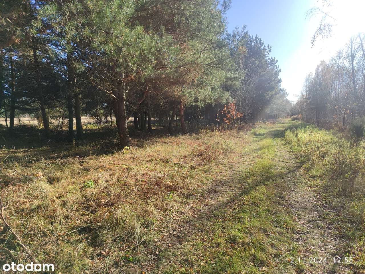 Działka budowlana między S7 a Parkiem Kampinowskim. - Pełny obrazek: 5/5