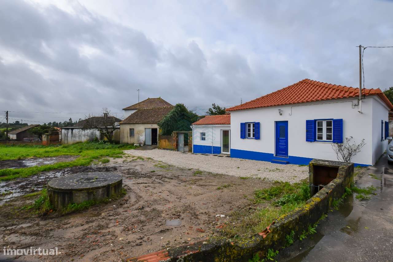 Moradia T3 + 1 Renovada + Garagem + Moradia em ruinas e diversos anexo-0