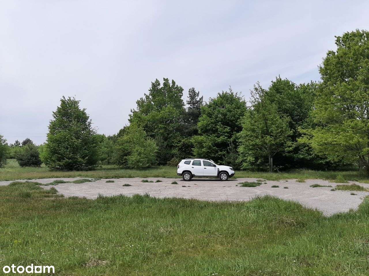 Nieruchomość w Częstochowie / 7,5006 ha - Pełny obrazek: 4/5