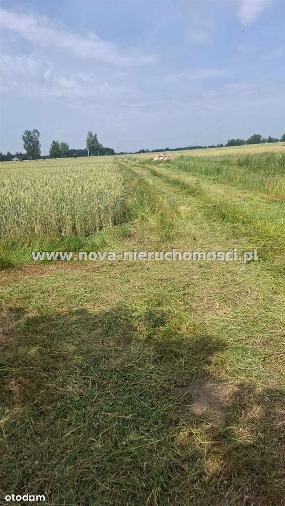 Dom Malanowo Stare-9